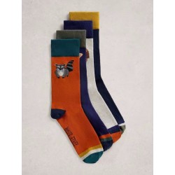 BOX CHAUSSETTES HOMME WOODLAND